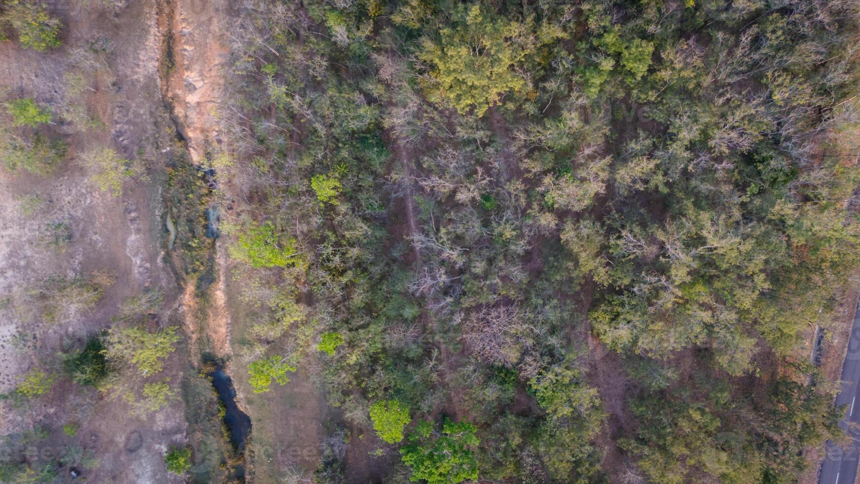 Aerial view of the forest in a tropical rural countryside in the dry season photo