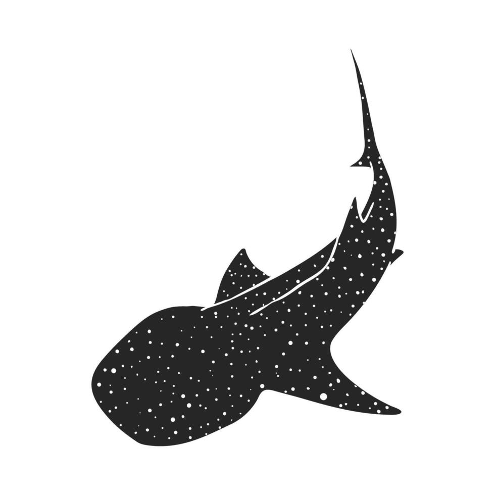 Hand drawn whale shark vector illustration