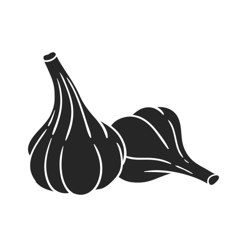 Hand drawn garlic vector illustration