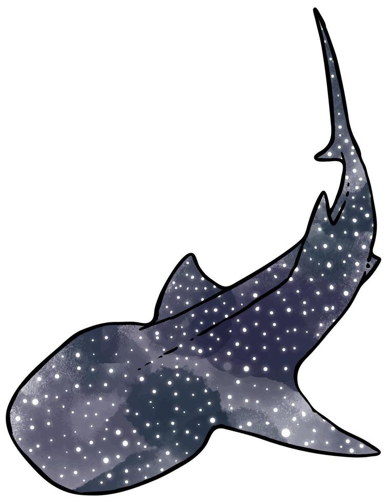 watercolor style whale shark hand drawn vector illustration.