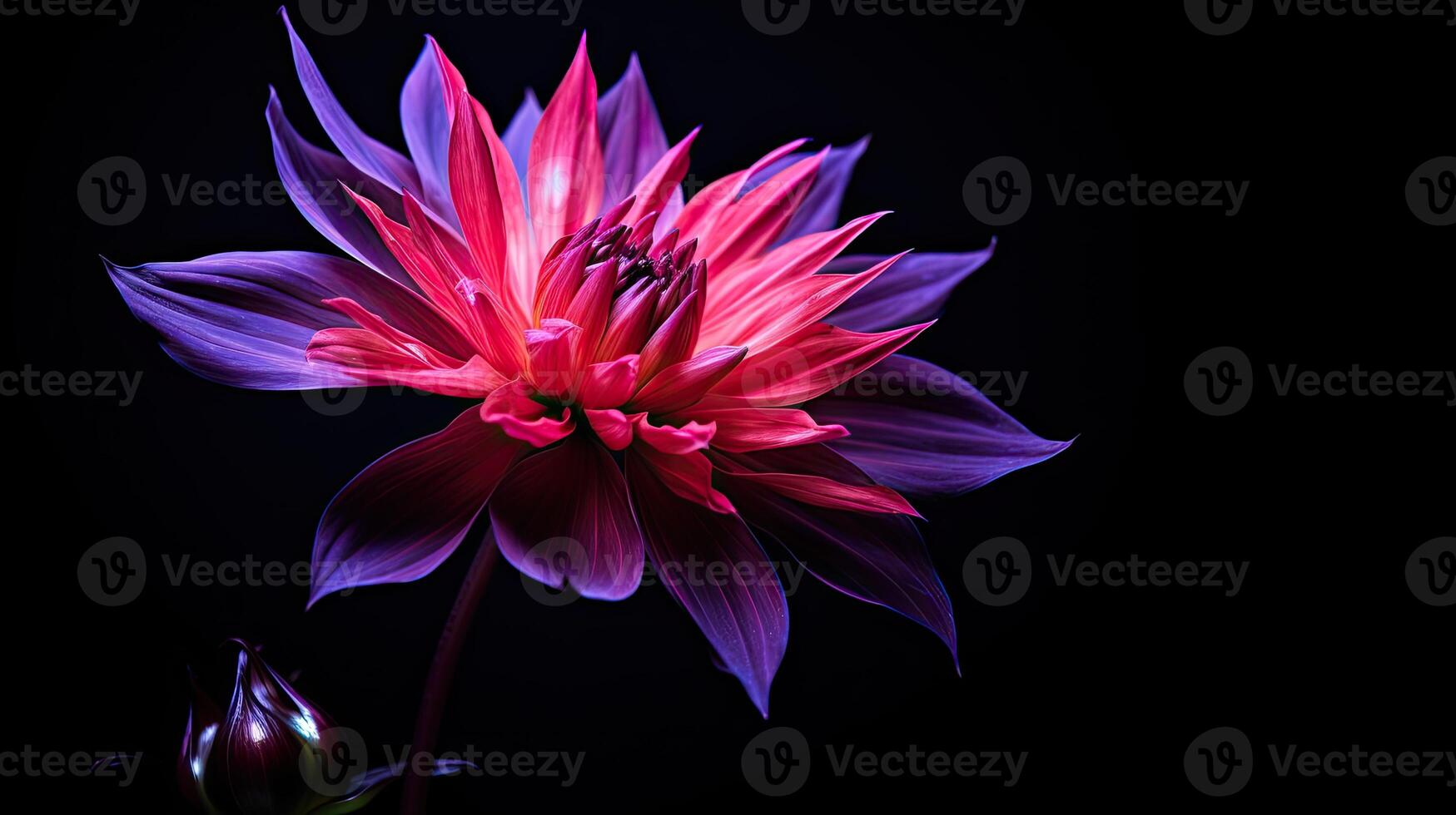 AI generated petal flower dark background ai generated photo