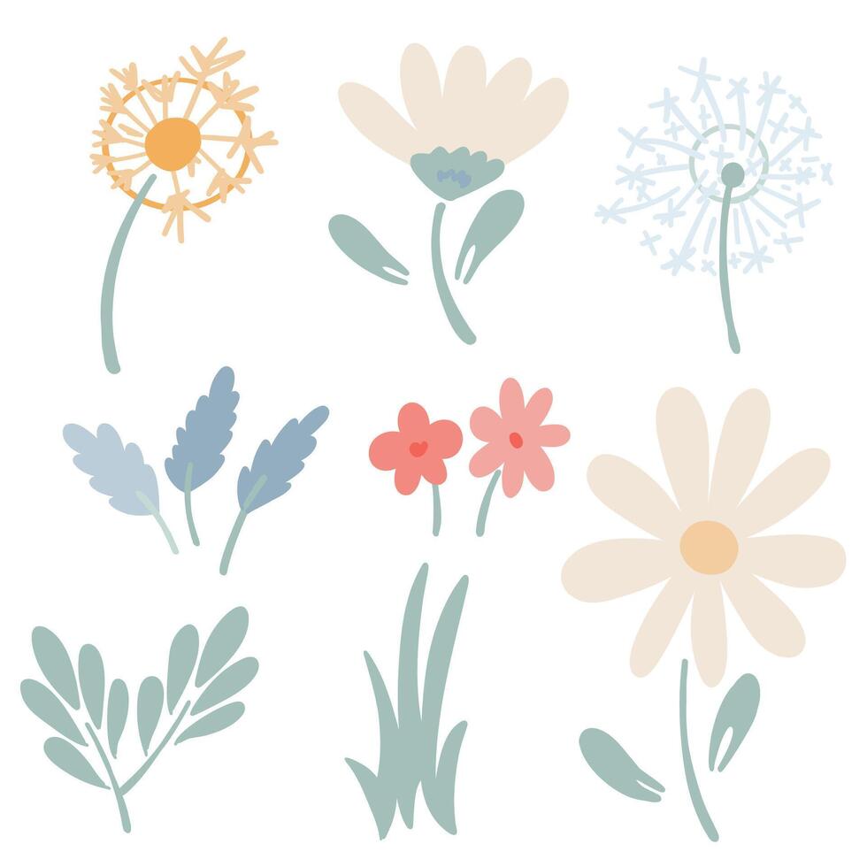 Camomile flat design lavender and dandelion set vector