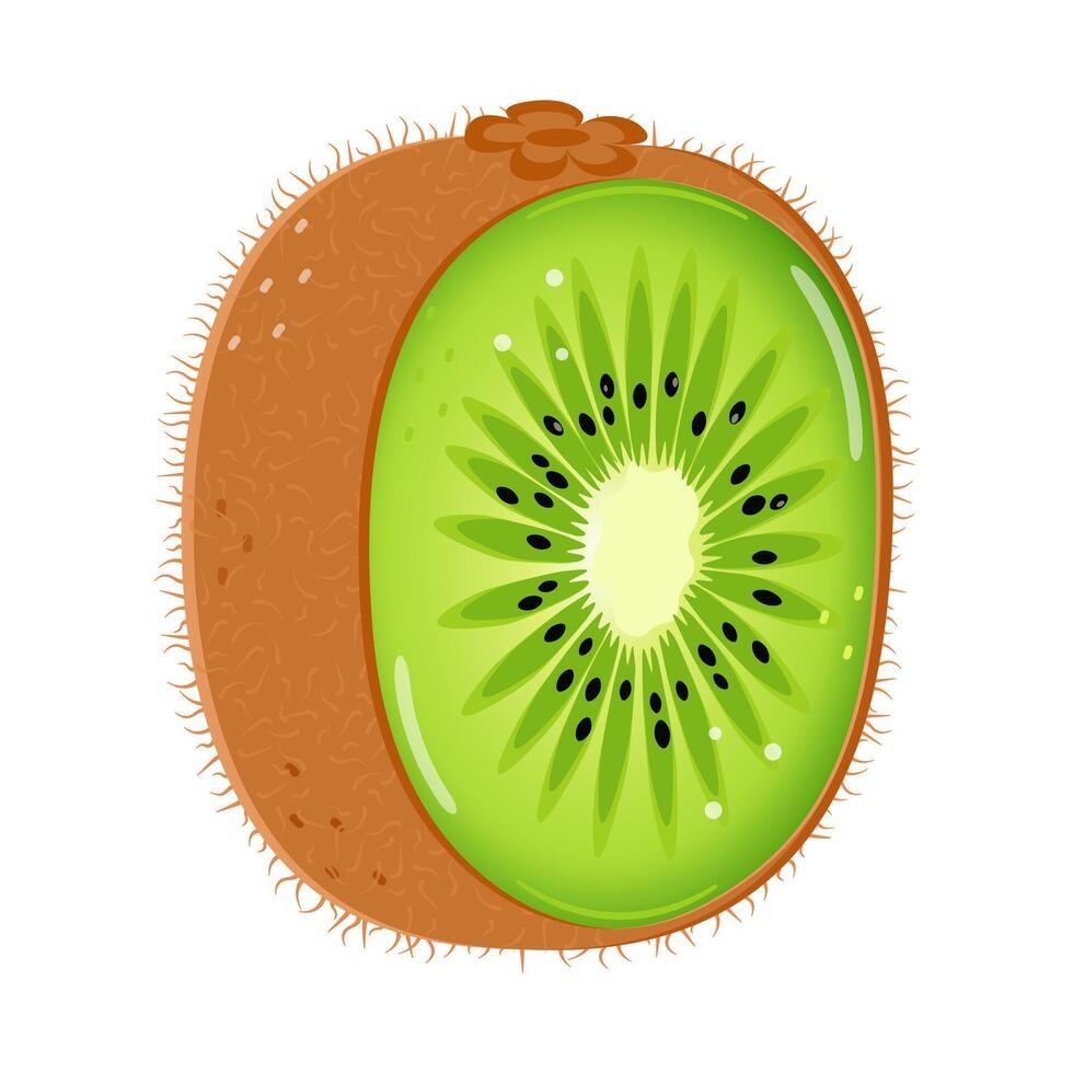 kiwi Fruta personaje. vector mano dibujado dibujos animados kawaii personaje ilustración icono. aislado en blanco antecedentes. kiwi Fruta personaje concepto