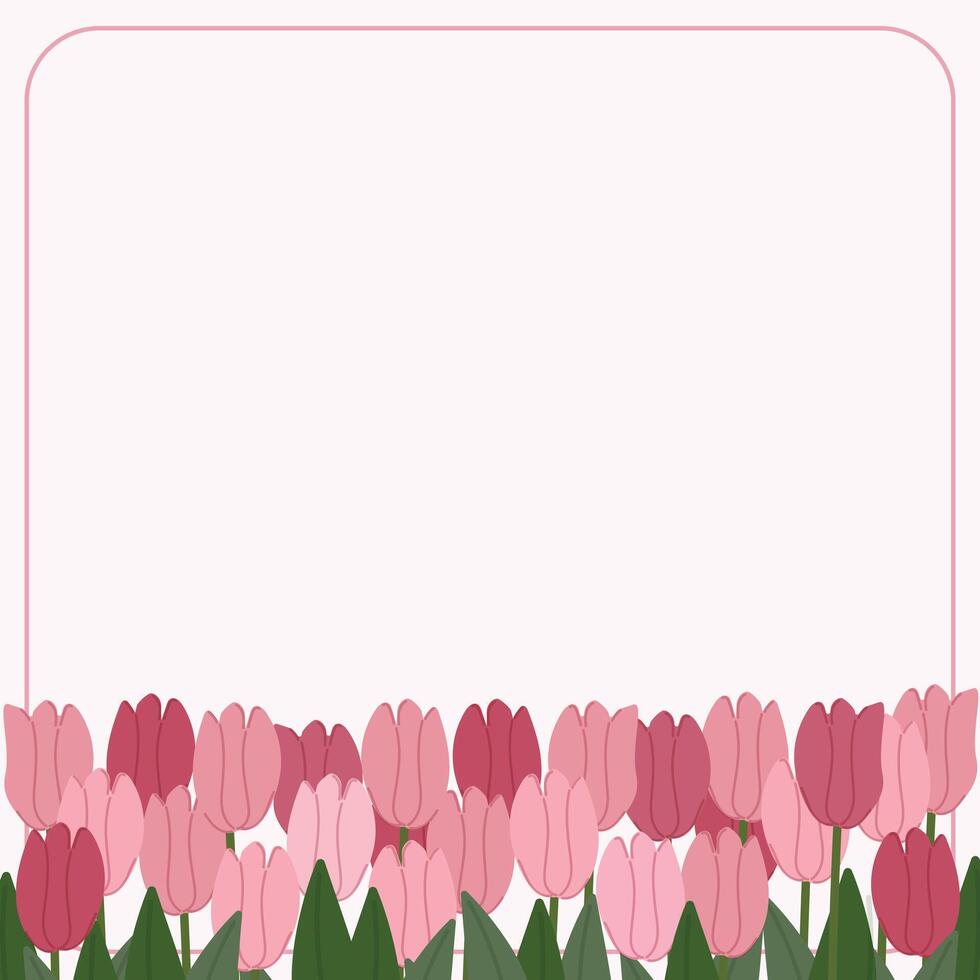 pink tulip flowers garden frame border hand drawn vector background for decorate invitation greeting birthday party celebration wedding card poster banner background