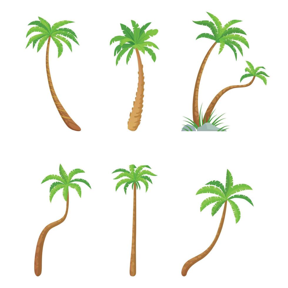 Palm green trees collection, exotic plant set vector