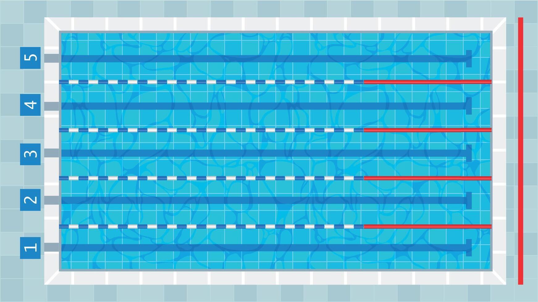 Swimming pool. Sport competition swim deep bath lanes top view, cartoon training public fitness basin water texture, healthy lifestyle concept. Vector illustration