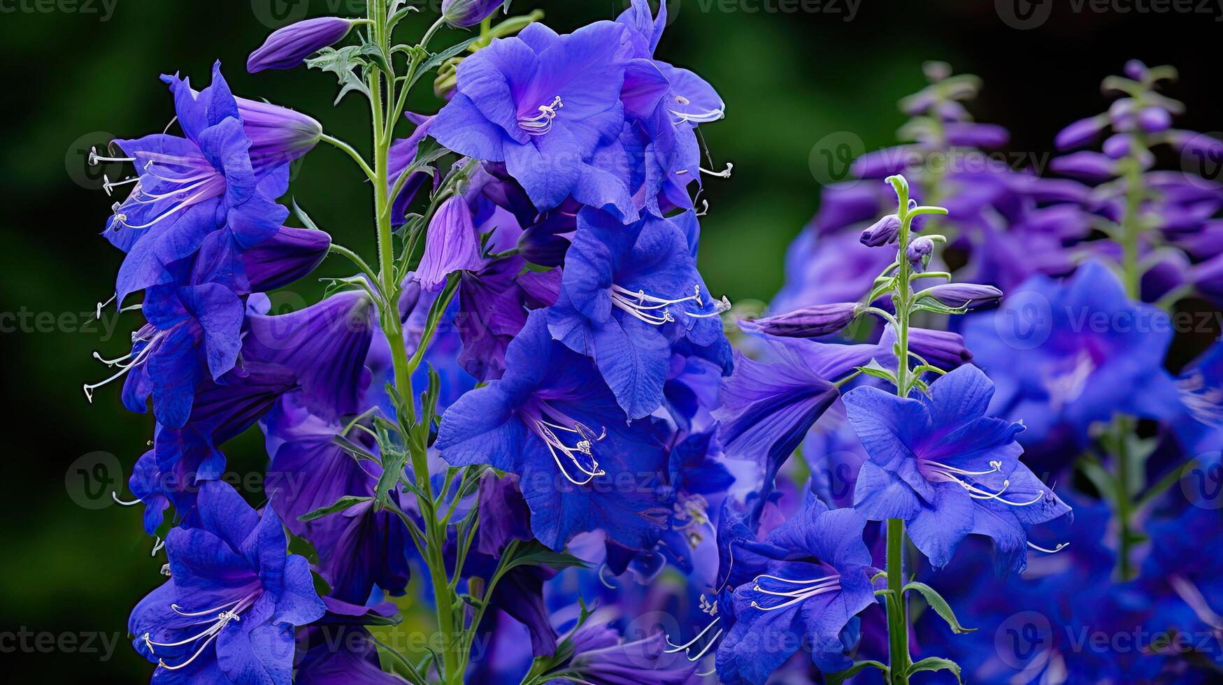 AI generated garden larkspur flower ai generated photo