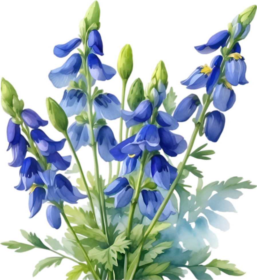 AI generated Watercolor painting of Aconite flower. png