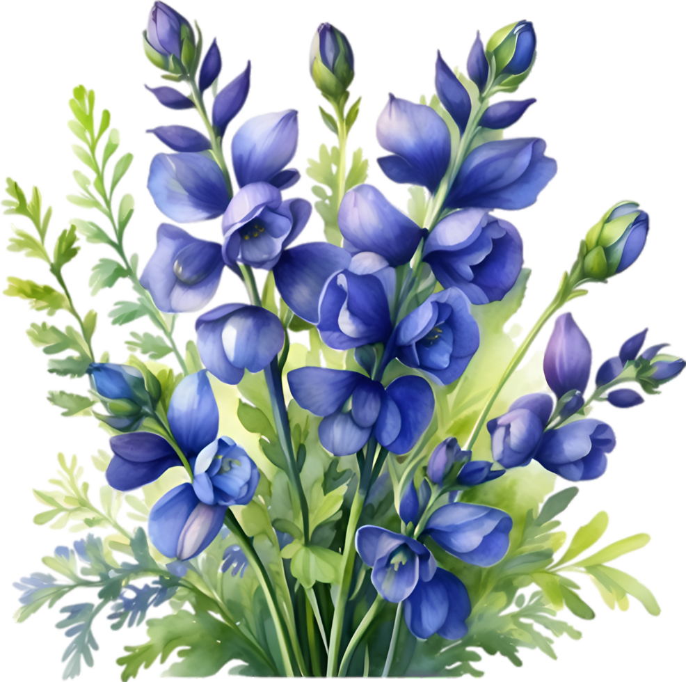 AI generated Watercolor painting of Aconite flower. png