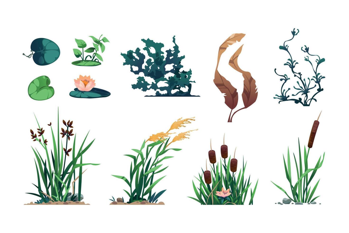 Lake plants. Pond flora and swamp botany game asset with reed, cattails, and bulrush, wetland water leafy plants. Vector isolated set