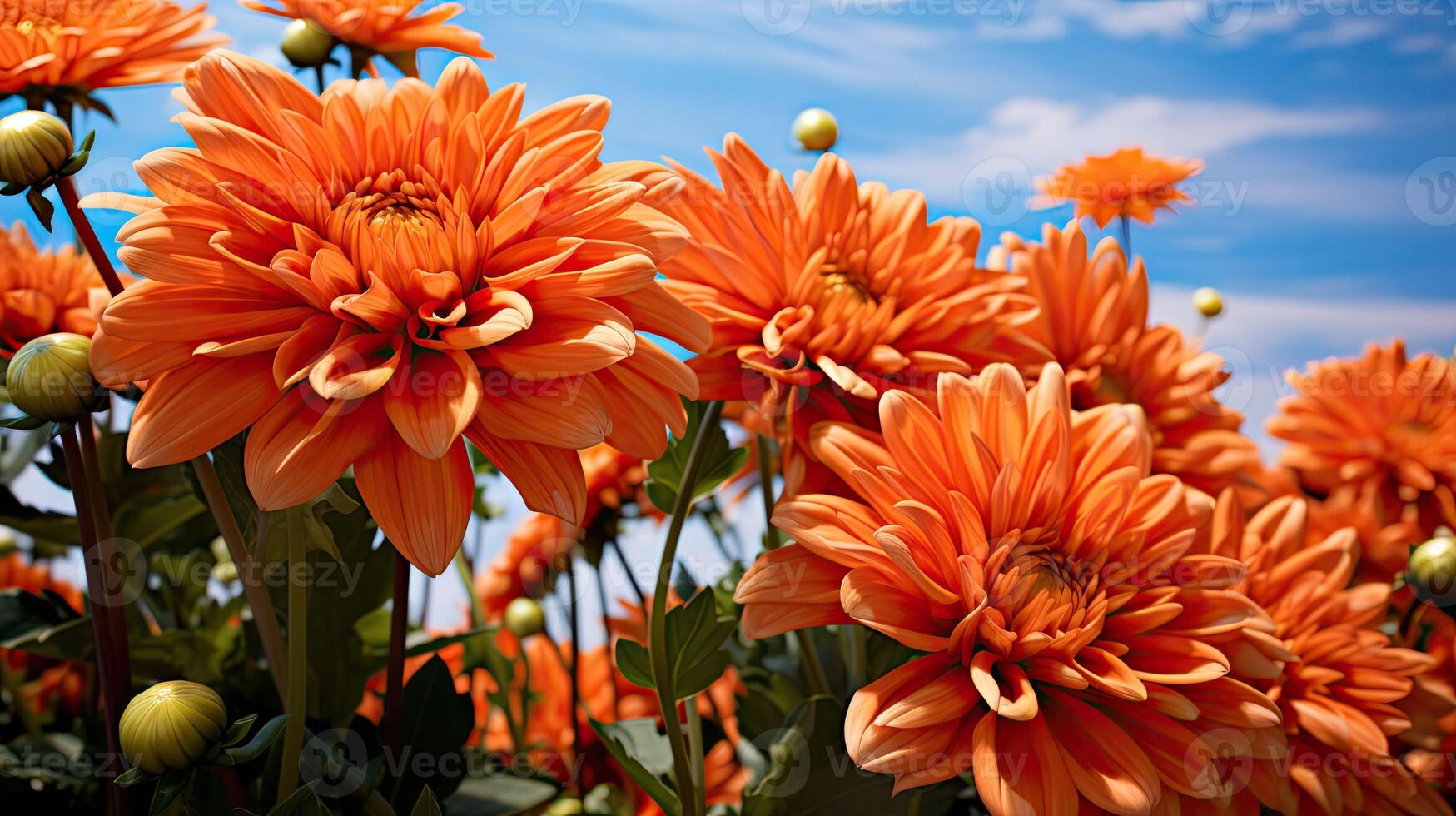 AI generated petals may flowers orange ai generated photo