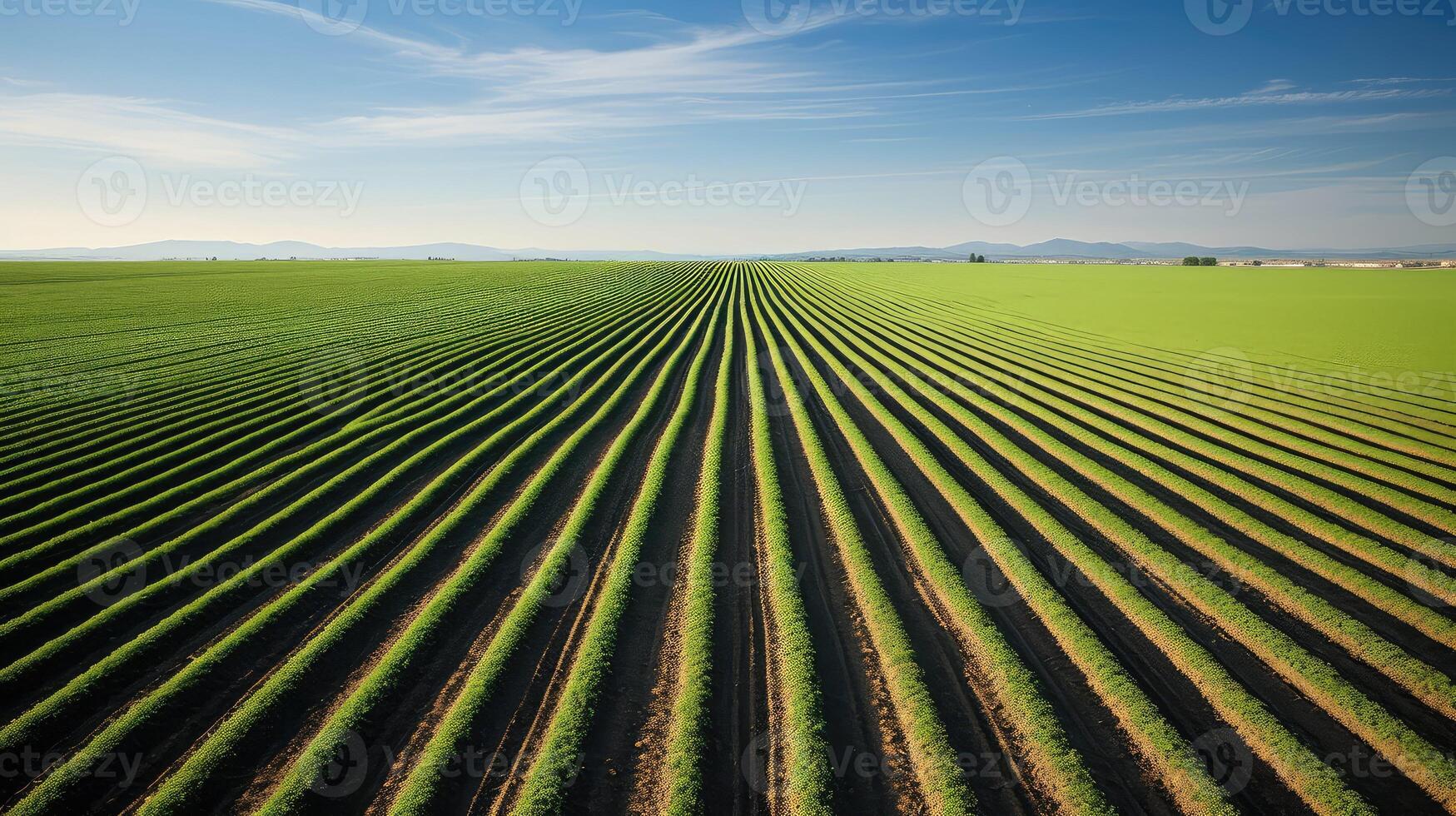 AI generated crops farm lines ai generated photo