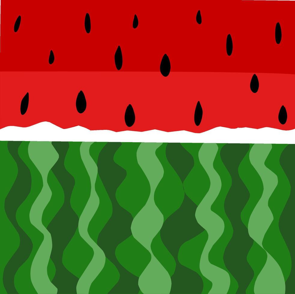 Watermelon background in red and green colors vector