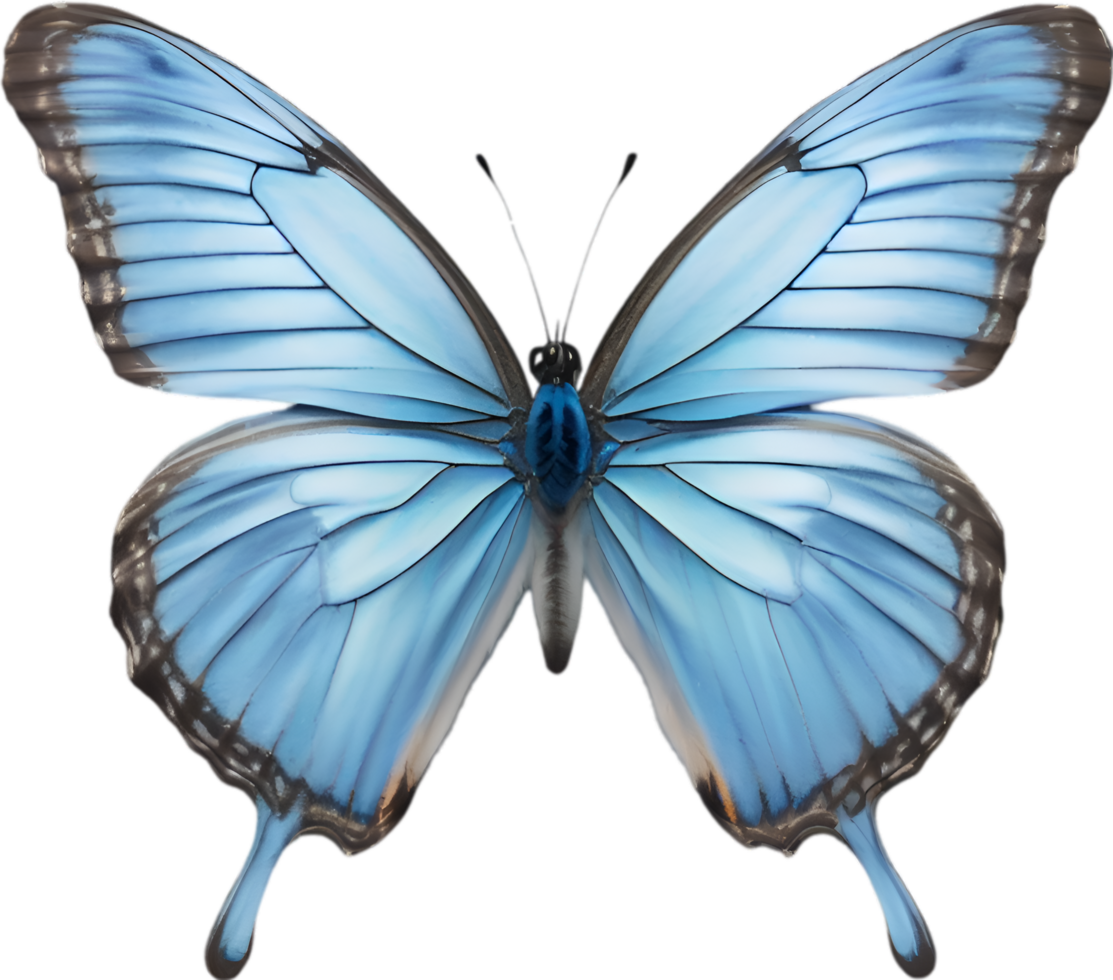 AI generated Colorful and elegant butterfly image. png