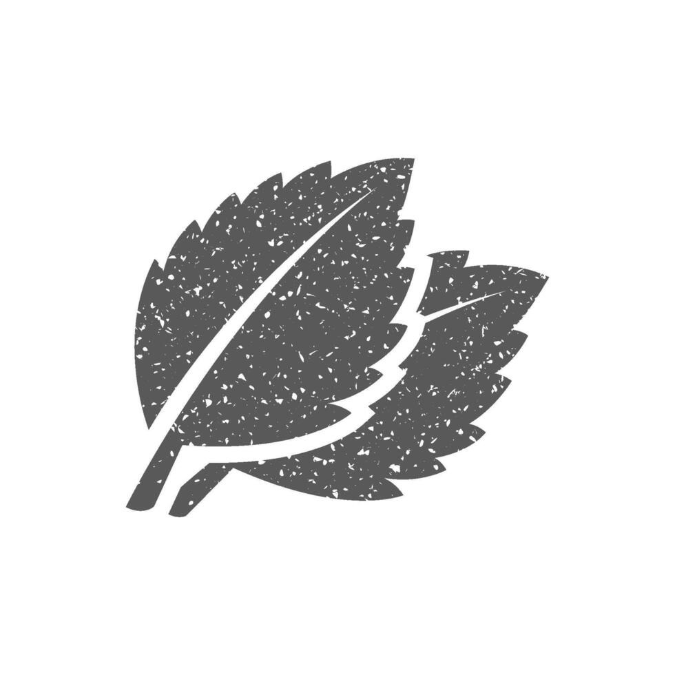 Basil leaves icon in grunge texture vector illustration