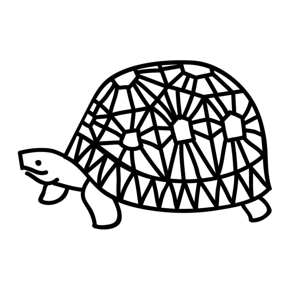 Astrochelys Radiata tortoise icon. Hand drawn vector illustration. Editable line stroke.
