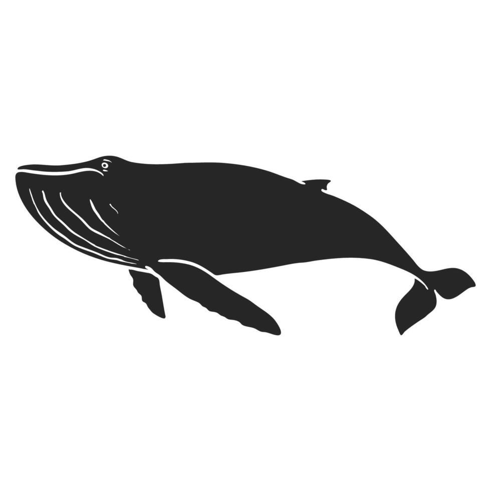 Hand drawn humpback whale vector illustration