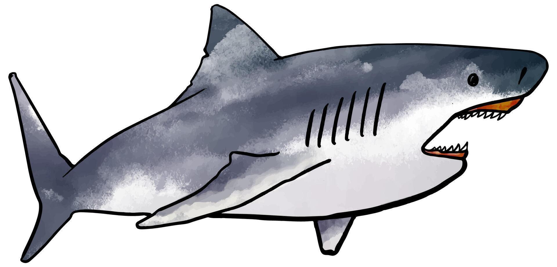 watercolor style shark hand drawn vector illustration.