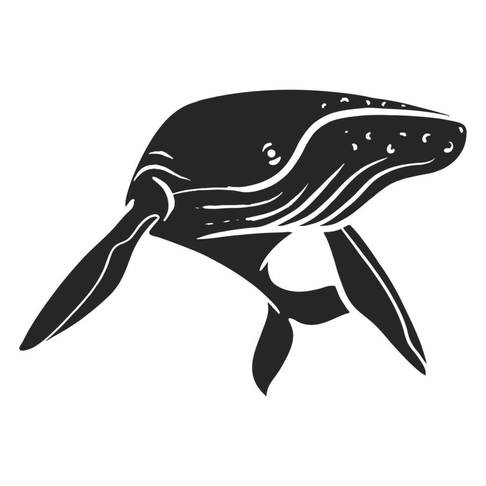 Hand drawn whale vector illustration