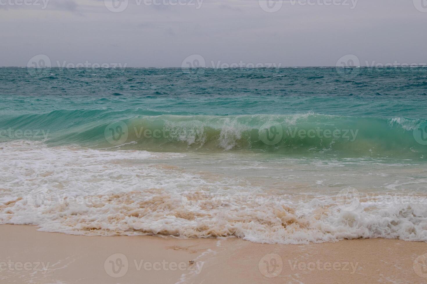 Waves on the beach photo