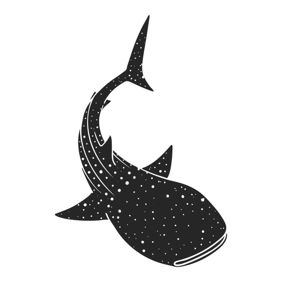 Hand drawn whale shark vector illustration