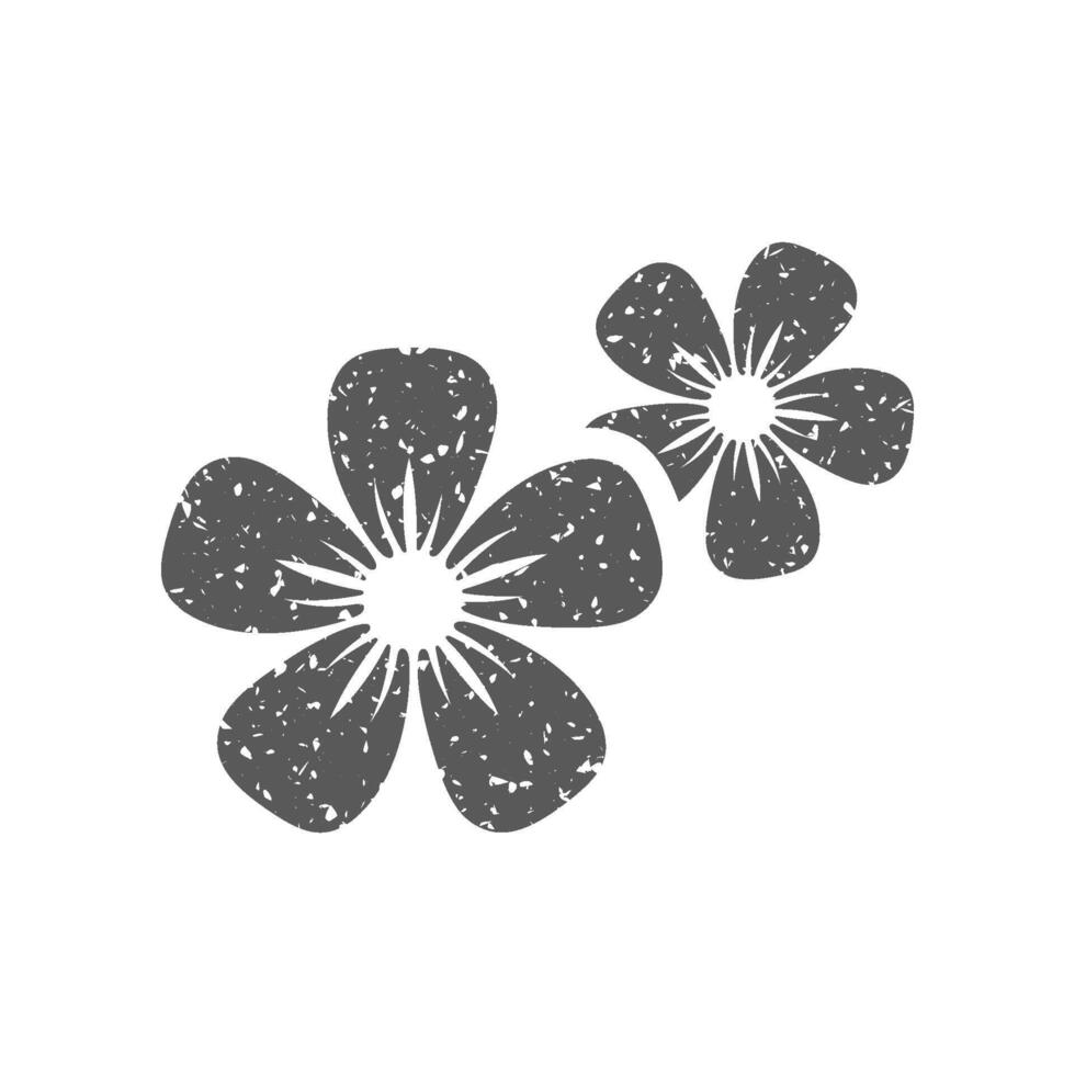 Jasmine flowers icon in grunge texture vector illustration