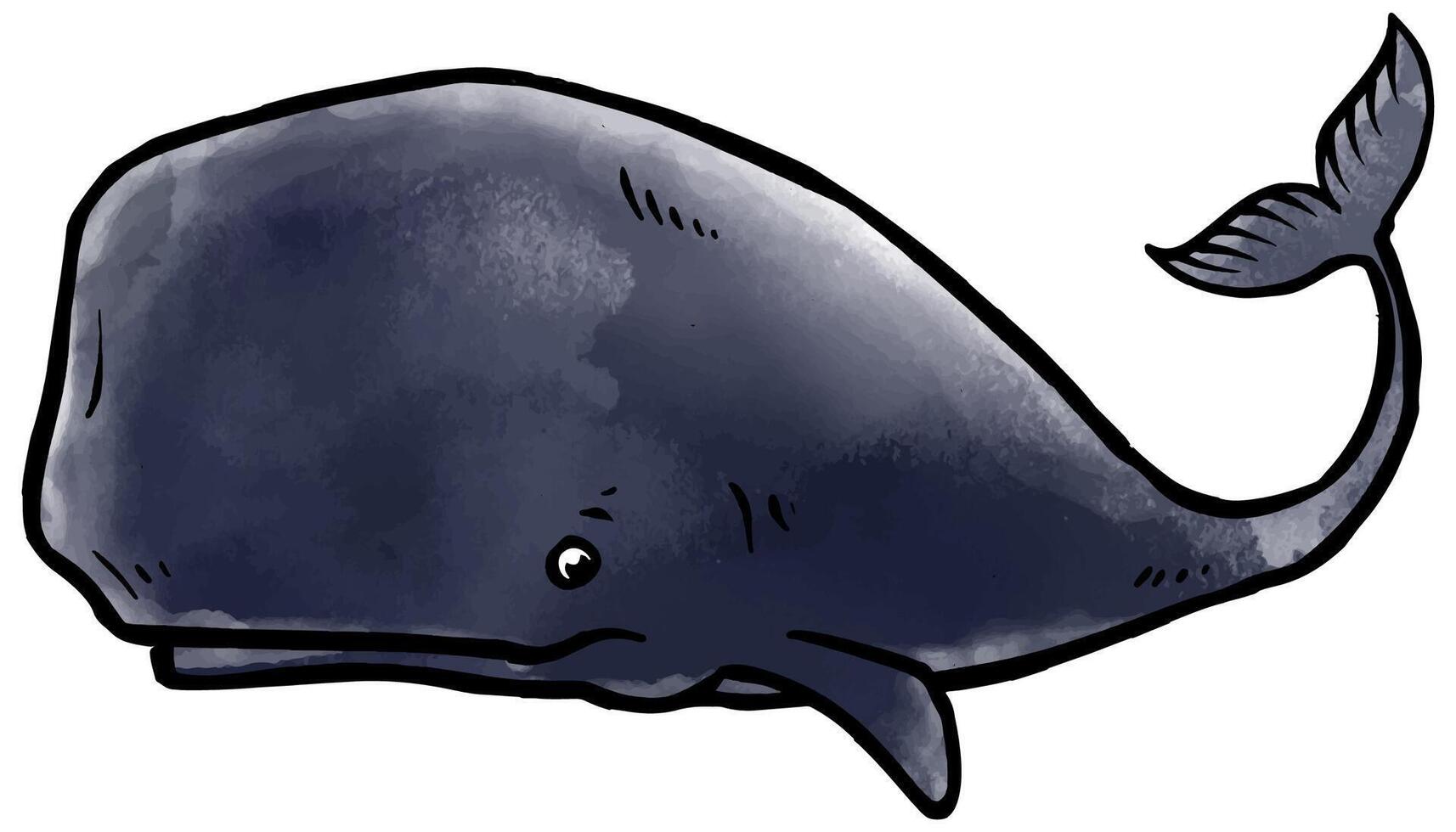 Hand drawn watercolor style whale vector illustration.