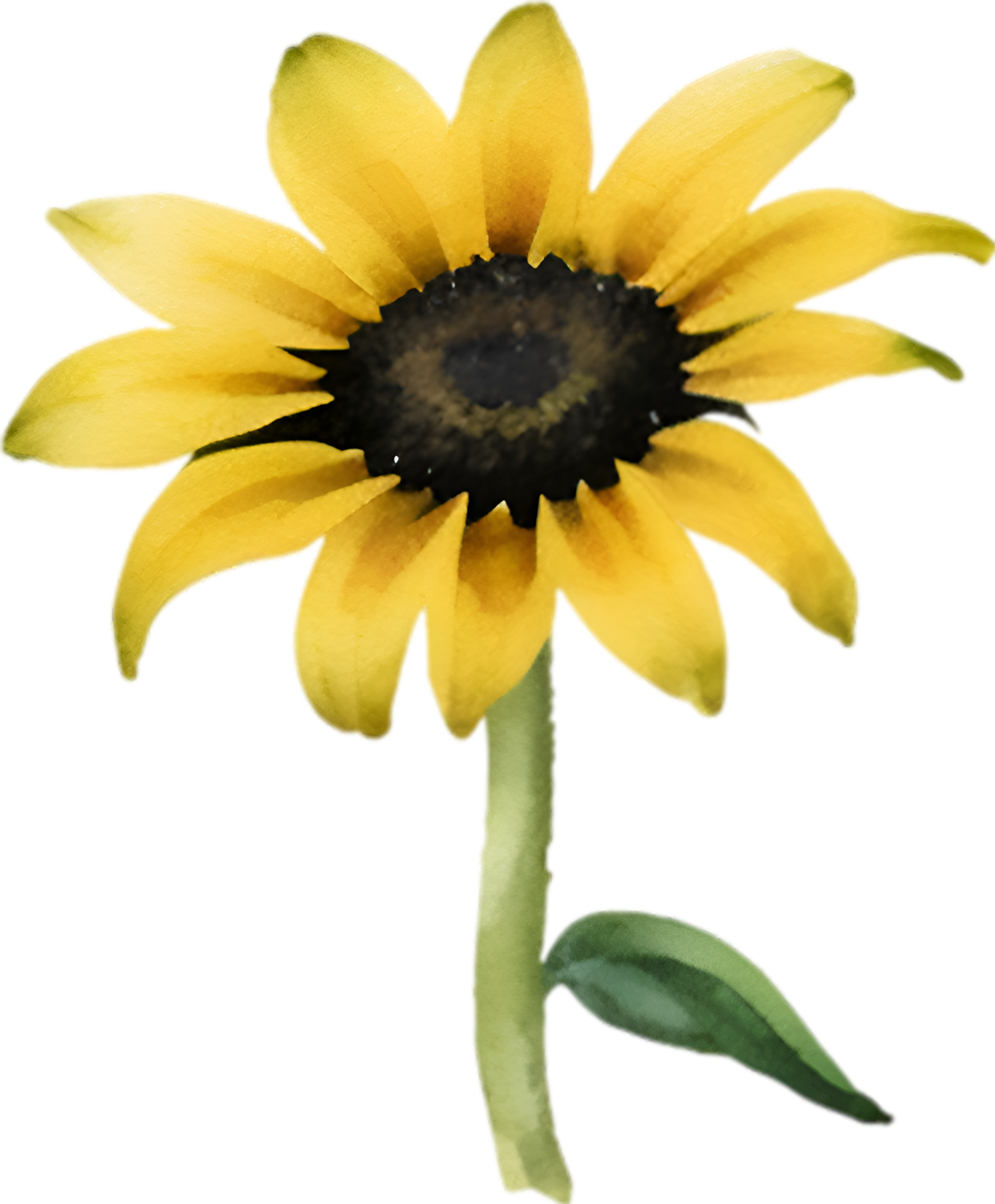 AI Generated Black Eyed Susan Clipart A Cute Black Eyed Susan Flower ai-generated-black-eyed-susan-clipart-a-cute-black-eyed-susan-flower