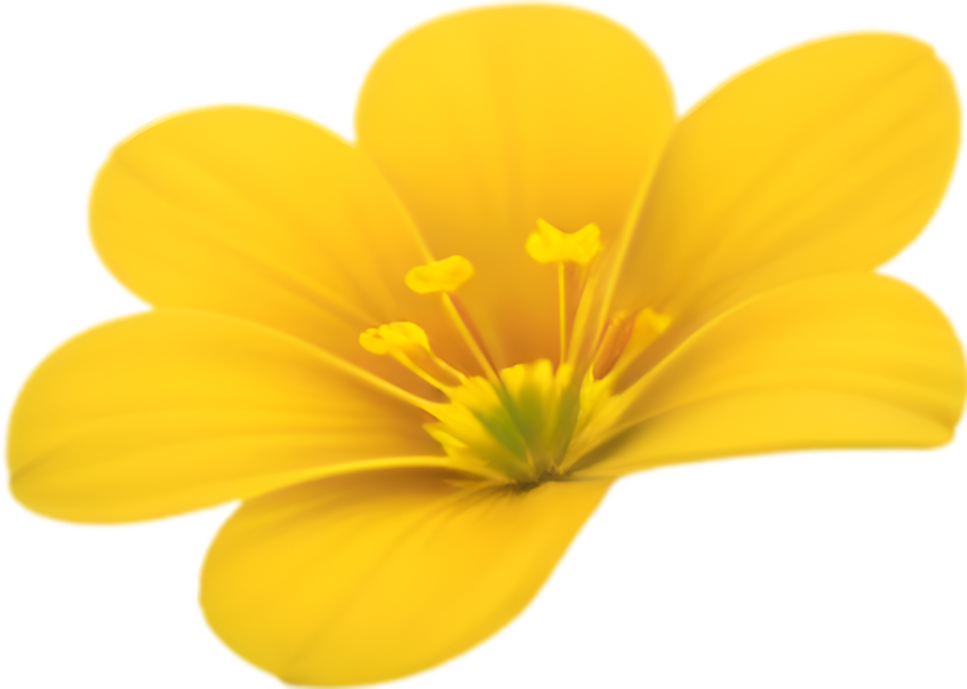 AI generated Flower icon, close-up of a cute colorful flower icon. png
