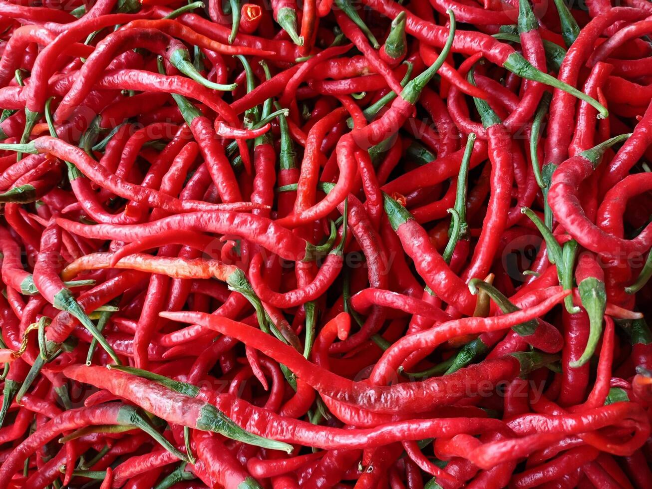 Fresh red chilies at the local traditional market. concept for spicy cuisine, manufacturer of hot sauces and seasonings. photo