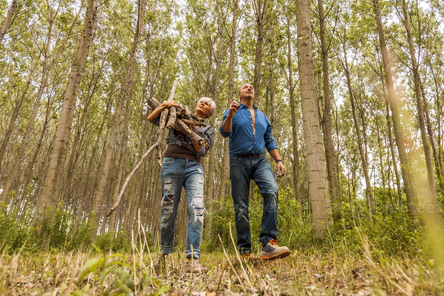 couple of lumberjacks is walking in the forest to collect wood photo
