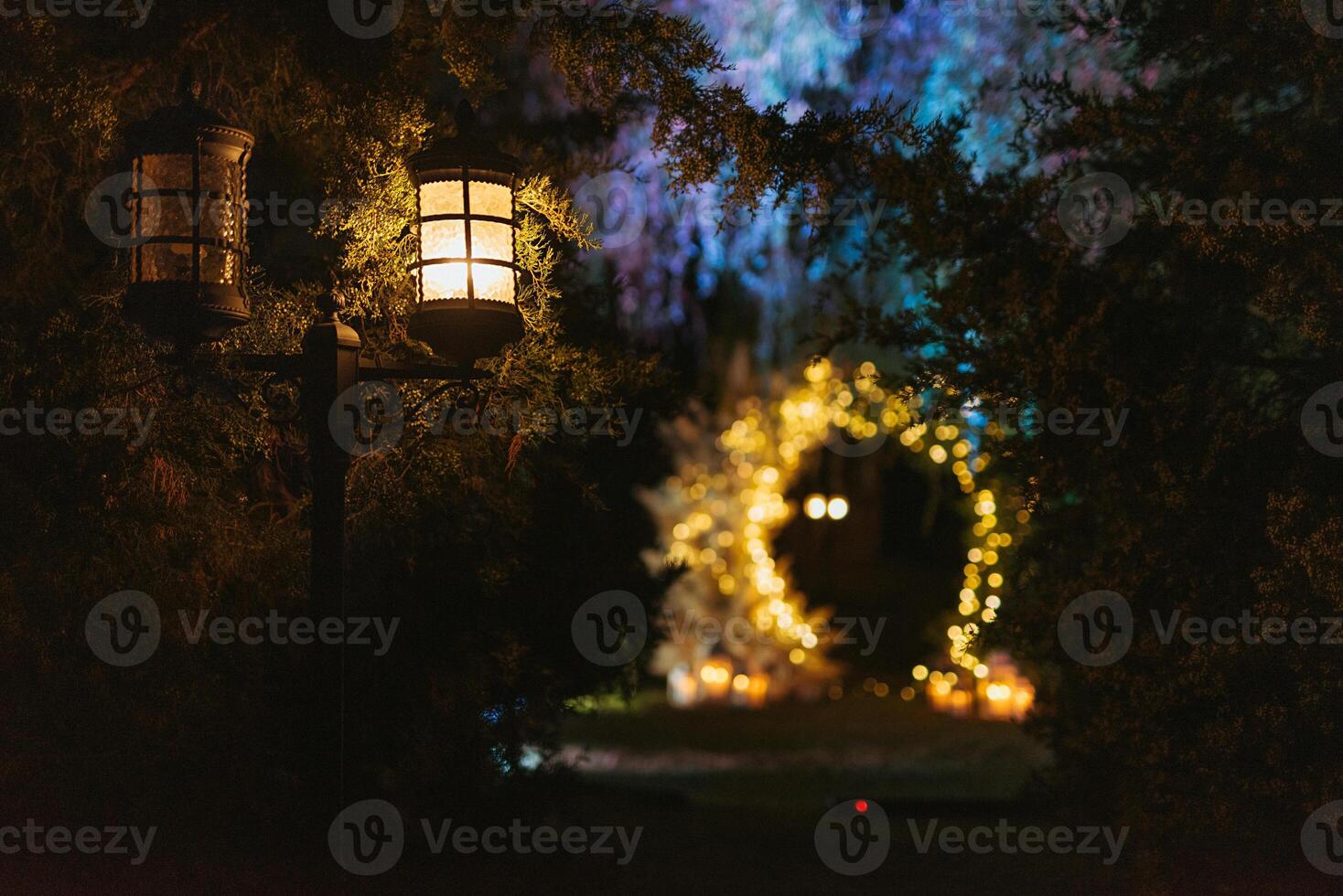 wedding ceremony area with dried flowers in a meadow photo