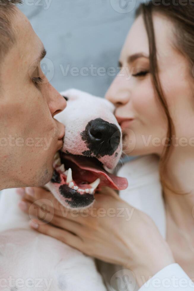 young couple guy and girl in a bright room playing with pet photo