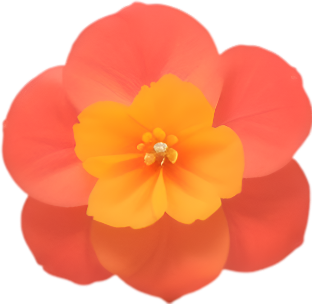 AI generated Flower icon, close-up of a cute colorful flower icon. png