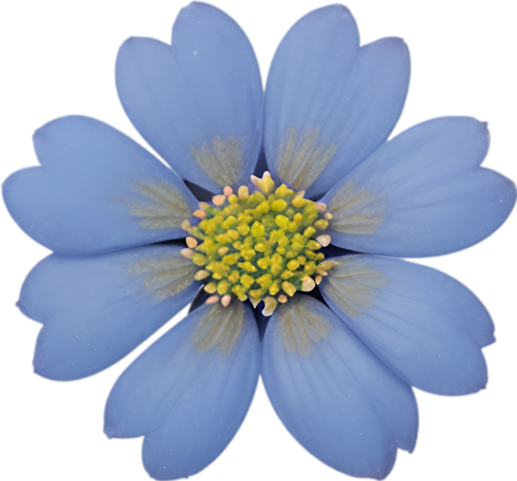 AI generated Flower icon, close-up of a cute colorful flower icon. png