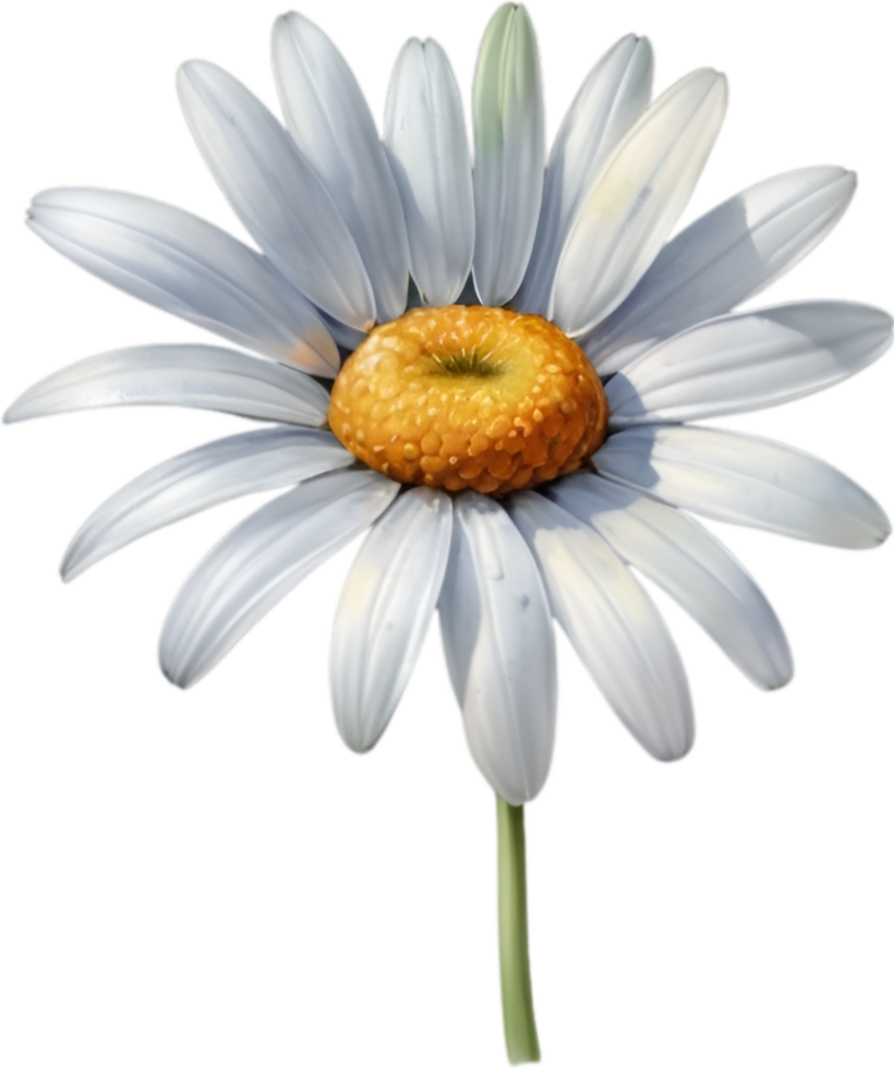 AI generated Watercolor painting of a Daisy flower. png