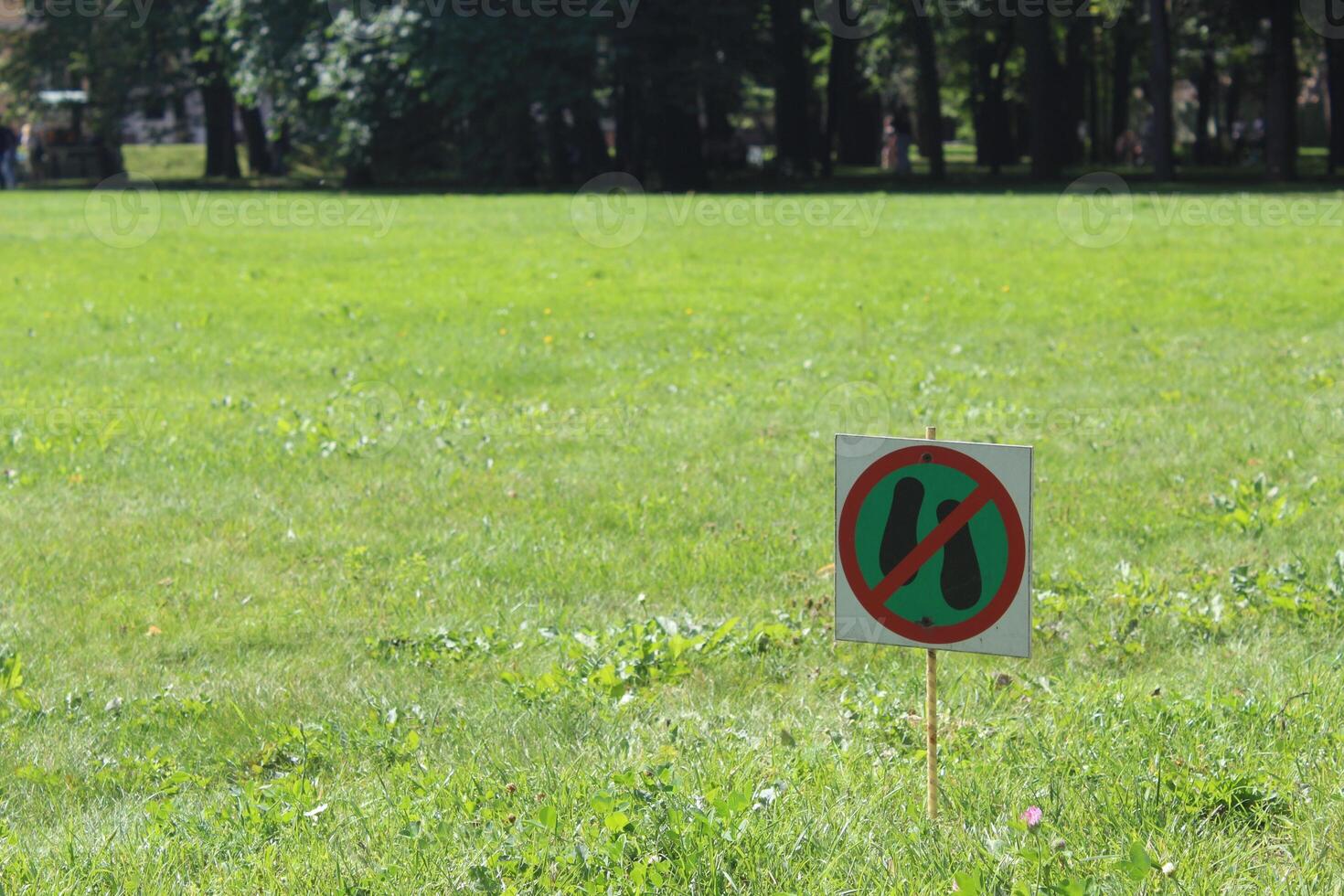 A sign of green color prohibiting walking on the territory of the meadow against the background of green grass. A sign standing on the grass and forbidding a person to stand on the grass. photo