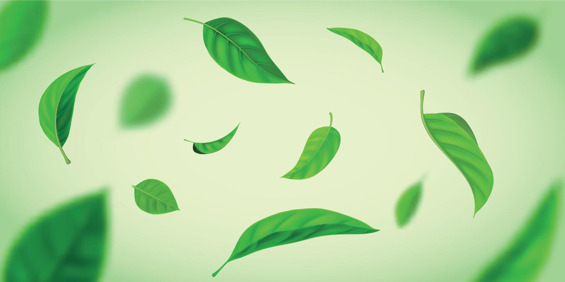 Realistic background with green tea leaves flying in wind. Nature fresh effect with herbal leaf in air. Organic tea plantation vector banner