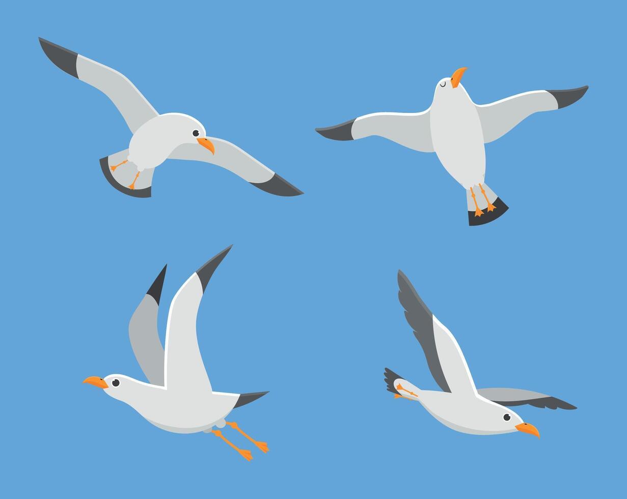 Atlantic sea bird fly at sky, set of white gull vector