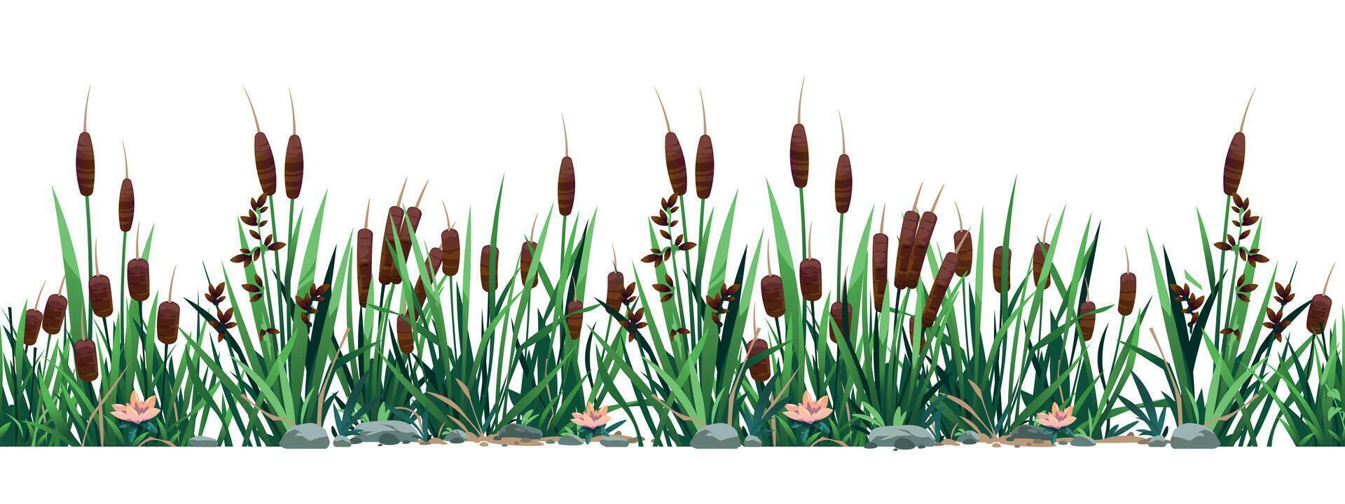 Cattail border. Seamless pattern of swamp reed plants, pond and river botany background. Vector strip print of bulrush grass