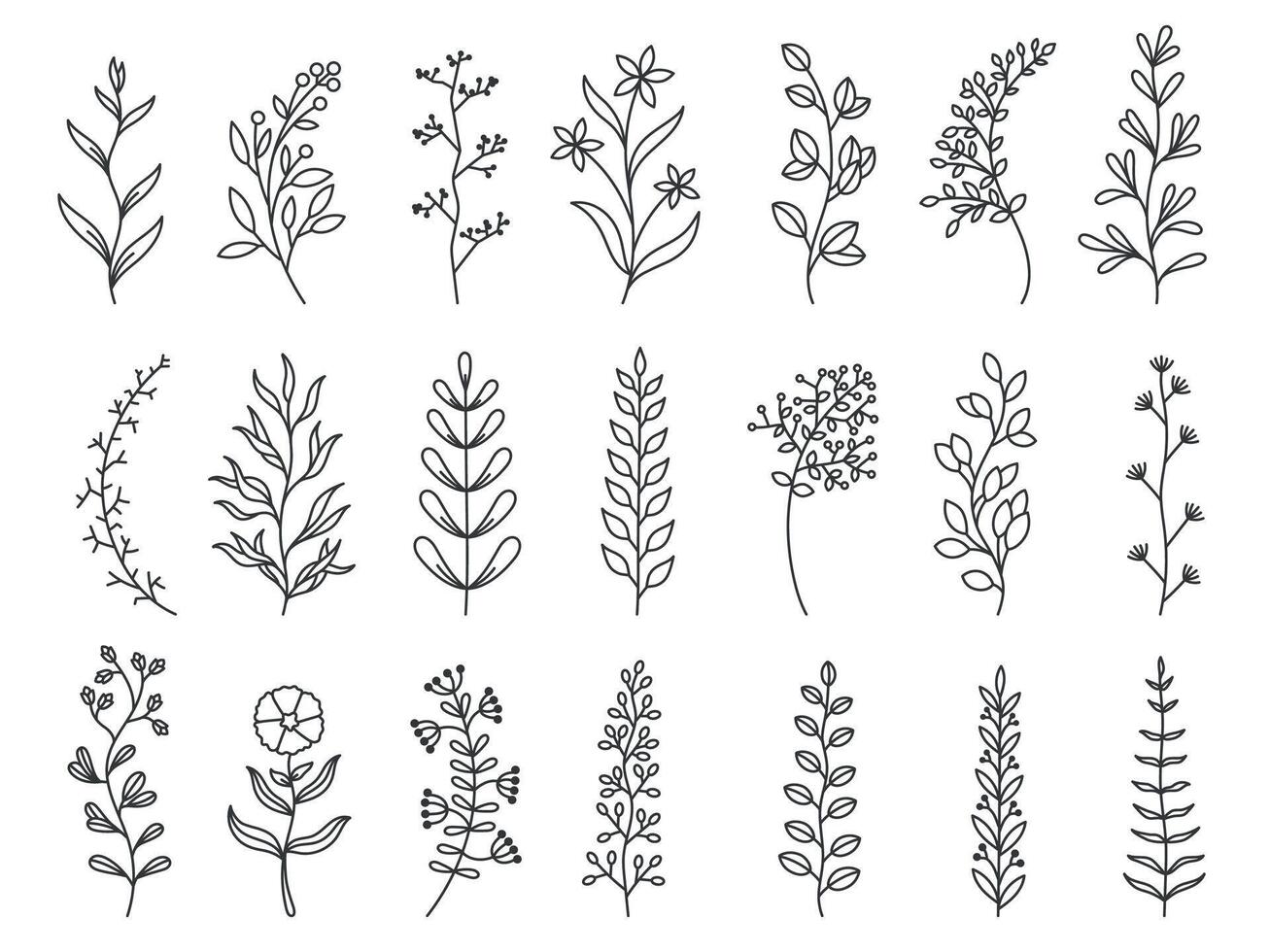 Herbal art. Doodle botanical decorative elements for tattoo, invitation and greeting cards, line sketch of forest branches. Vector minimal hand drawn wildflowers