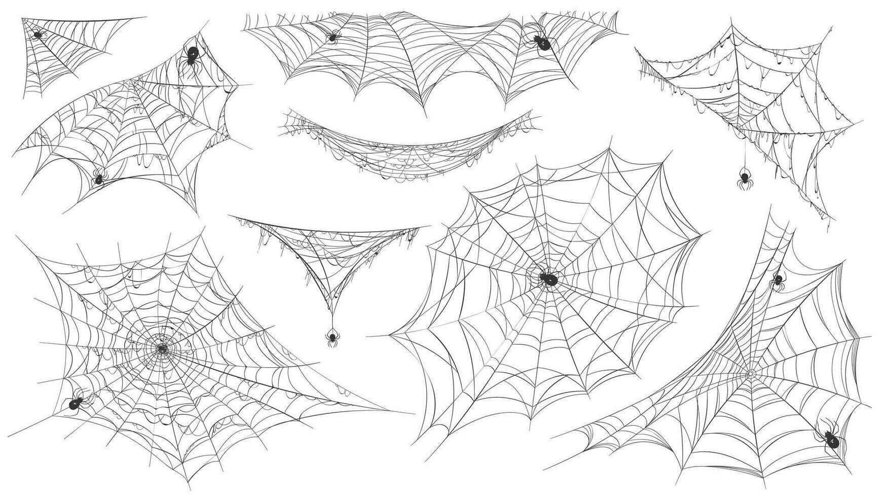 Spider web silhouette. Hanging cobweb with venom spiders for horror helloween decor. Spooky spiderweb element, net trap in corner vector set