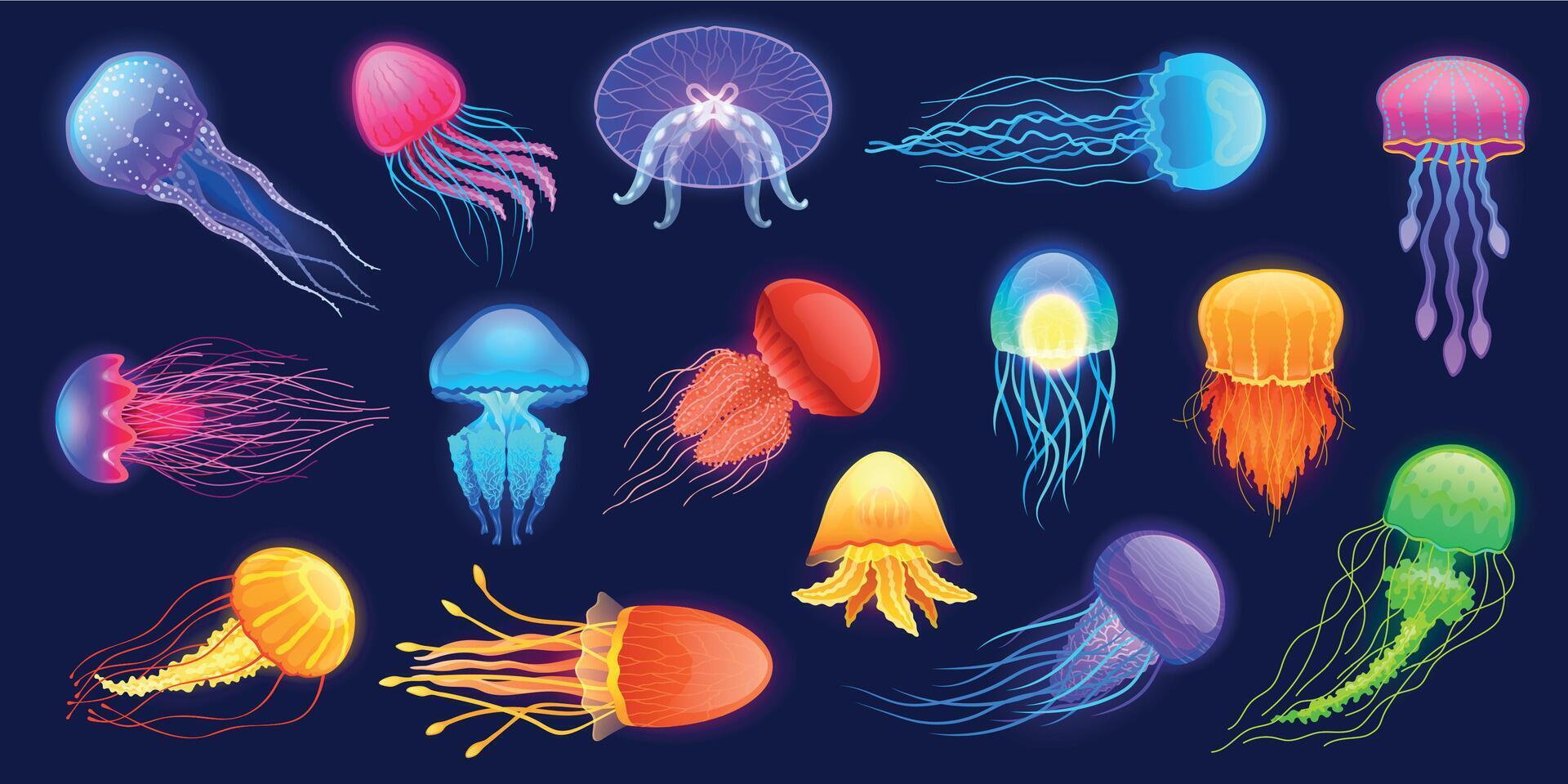 Glowing jellyfish. Cartoon underwater exotic sea animals of different colors and shapes floating in water. Vector cute transparent undersea creatures set