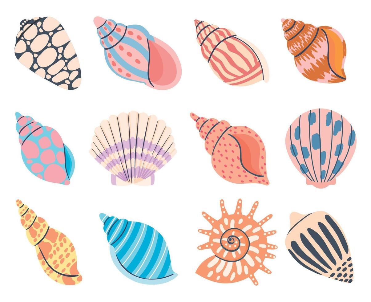 Colorful underwater conches of mollusk and sea snail vector