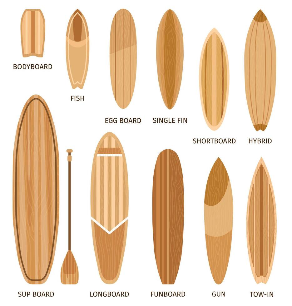 de madera tabla de surf tamaños y tipos, tabla de bodyboard, longboards y tablas cortas. dibujos animados navegar tableros formas diseño, funboard y híbrido vector conjunto
