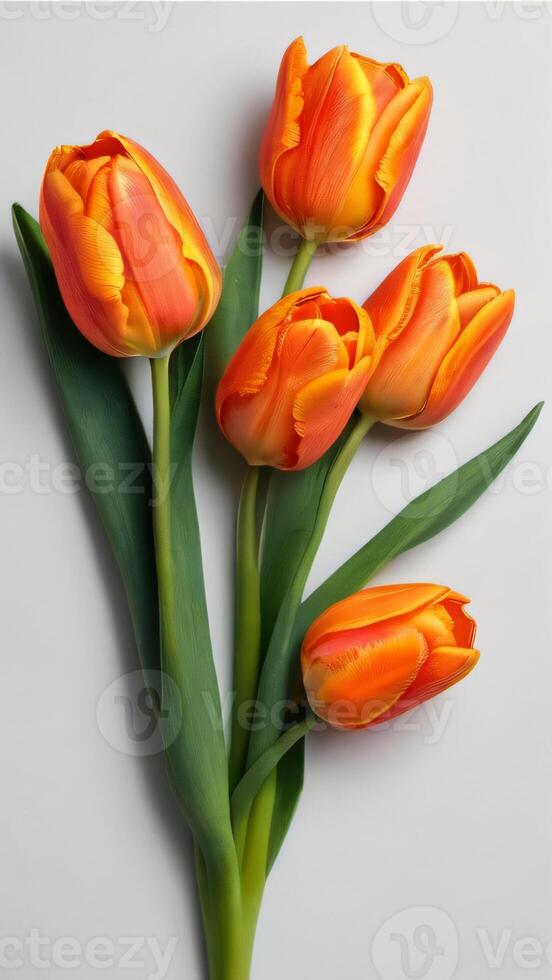AI generated Photo Of Set Of Orange Color Tulip Flowers Isolated On White Background Flat Lay. AI Generated