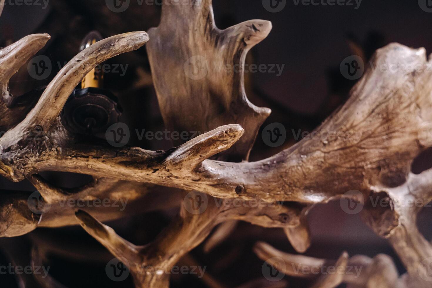 A chandelier made of deer antlers hanging on the ceiling of the interior photo