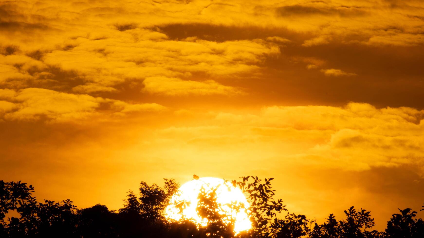 hermosa naturaleza Mañana con naranja, amarillo Brillo Solar y mullido nubes hermosa vistoso dramático cielo con nubes a puesta de sol o amanecer. foto