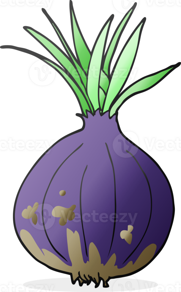 hand drawn cartoon onion png
