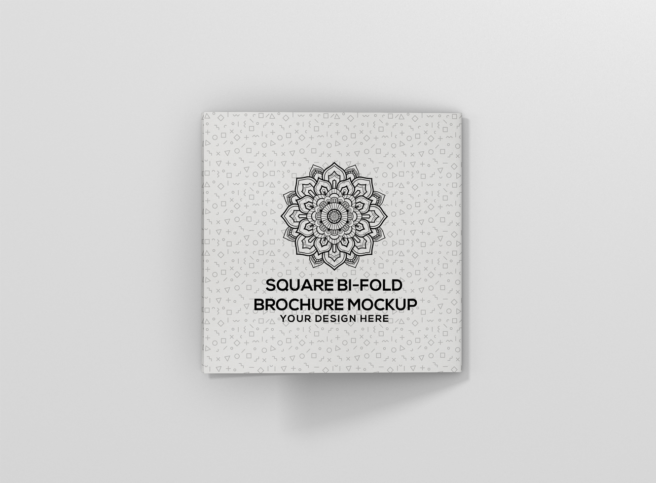Square Bi fold Brochure Mockup psd